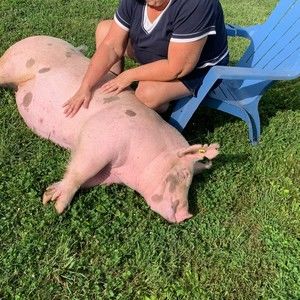 Meet your Posher, Kim